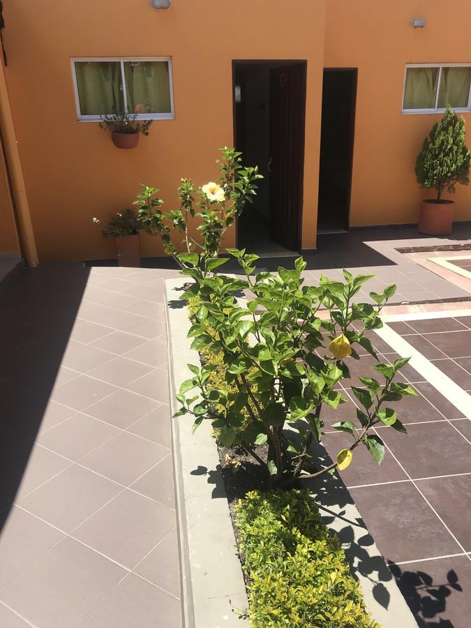 Hostal El Hangar Rionegro Bagian luar foto